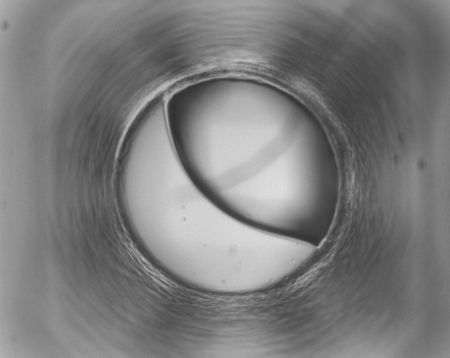 X0000058790924200509300837