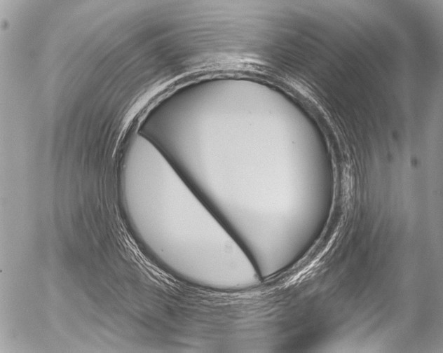 X0000058790925200509300837