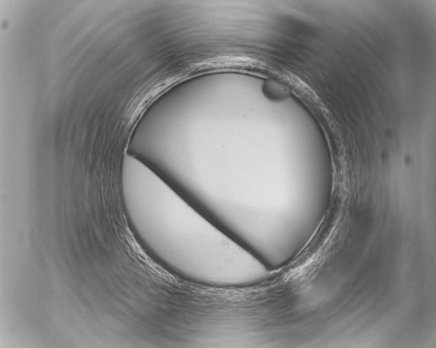 X0000058790937200509300837