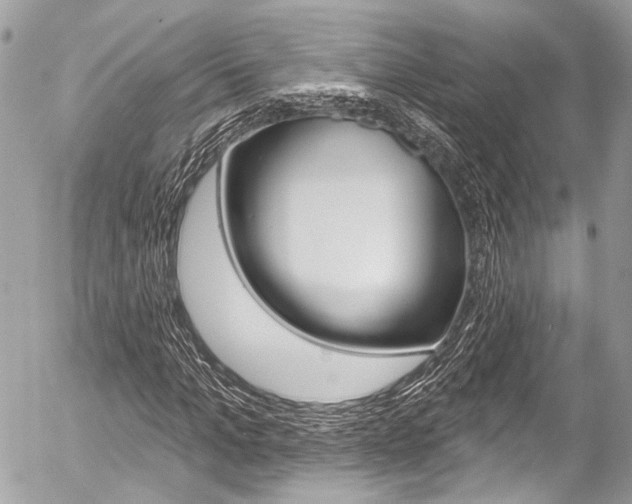 X0000058790965200509300837