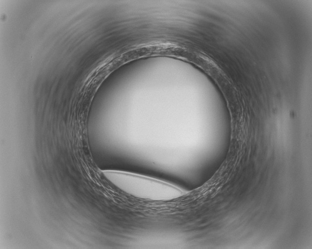 X0000058790967200509300837