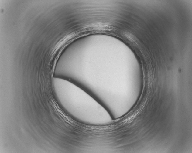 X0000058790970200509300837