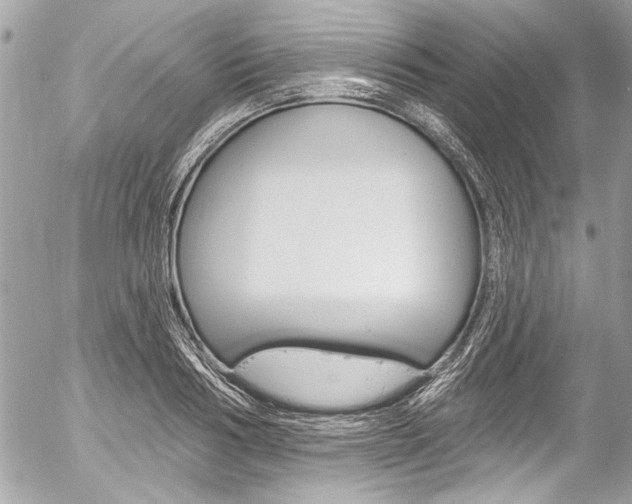 X0000058790986200509300836