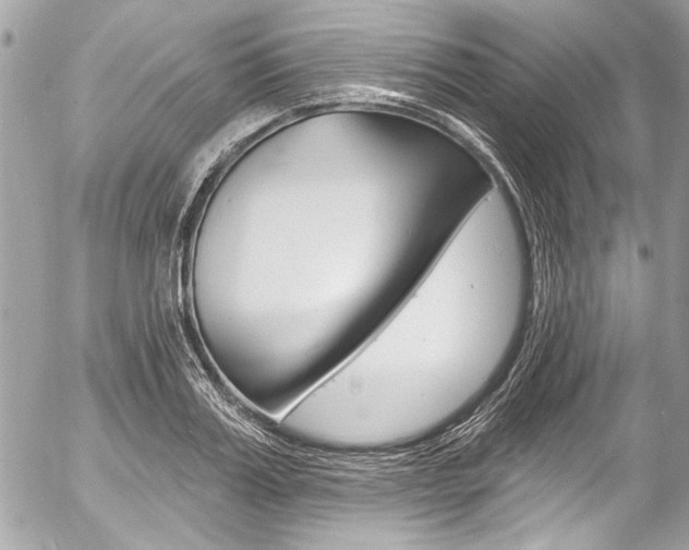 X0000058790987200509300836