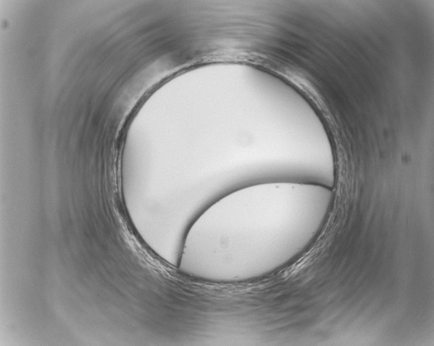 X0000058791000200509300836
