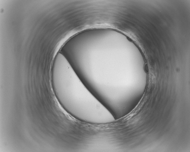 X0000058791006200509300836