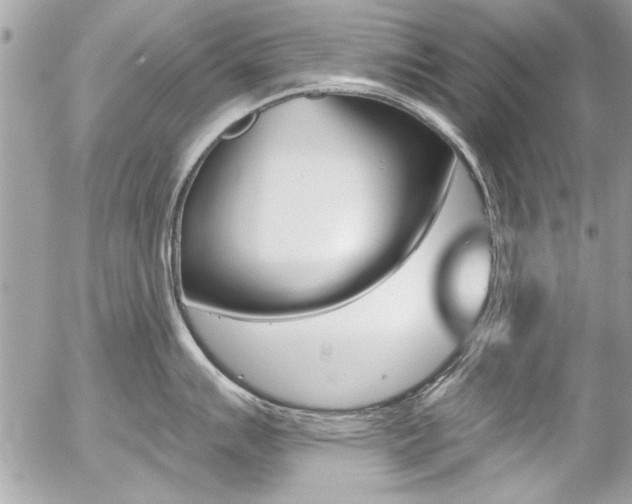 X0000058791007200509300836