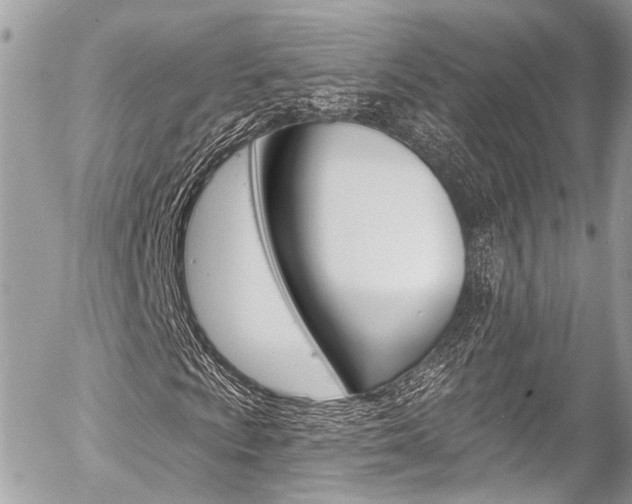 X0000058791009200509300835