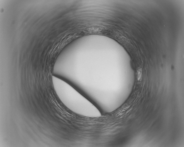 X0000058791011200509300835