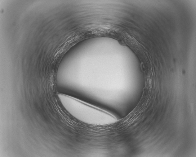 X0000058791012200509300835