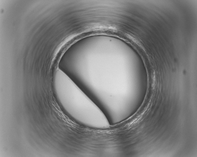 X0000058791021200509300835