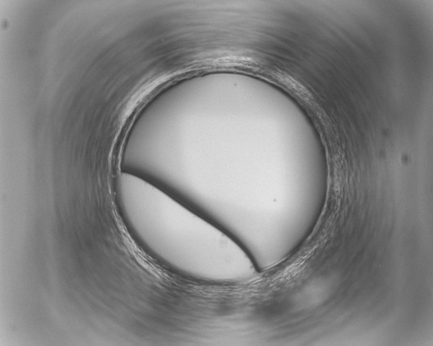 X0000058791031200509300835