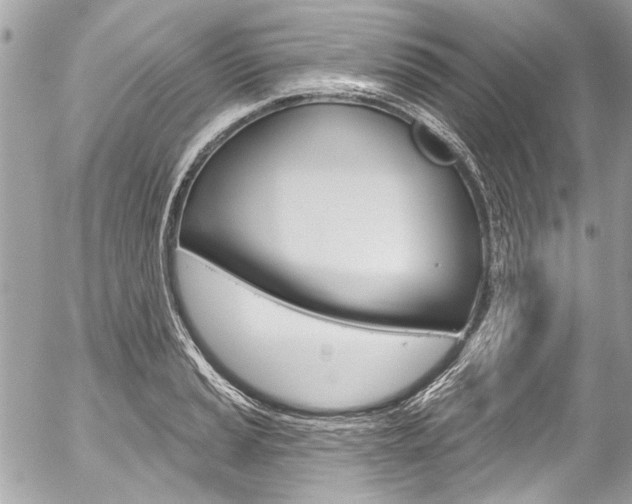 X0000058791037200509300836