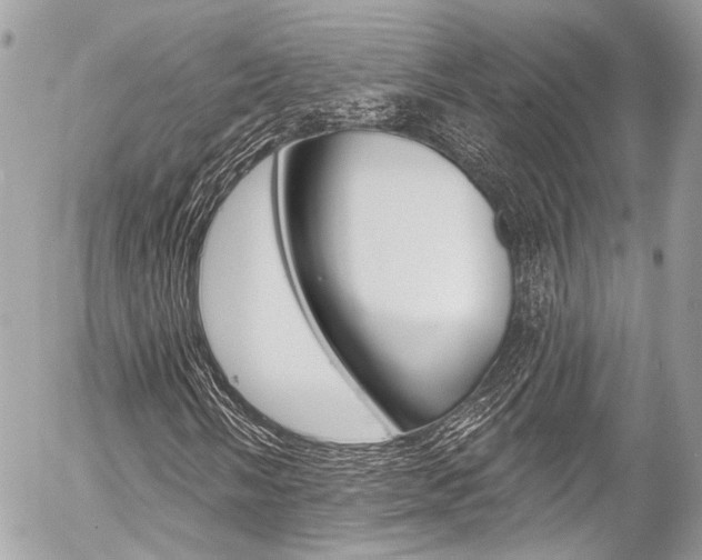 X0000058791058200509300835