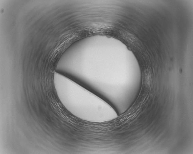 X0000058791060200509300835