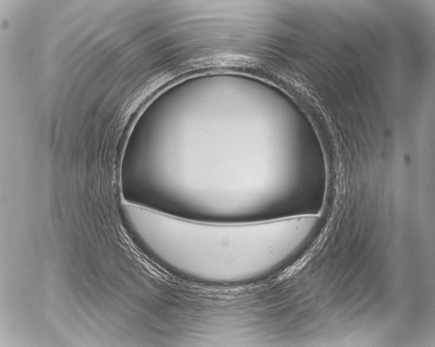 X0000058791073200509300835