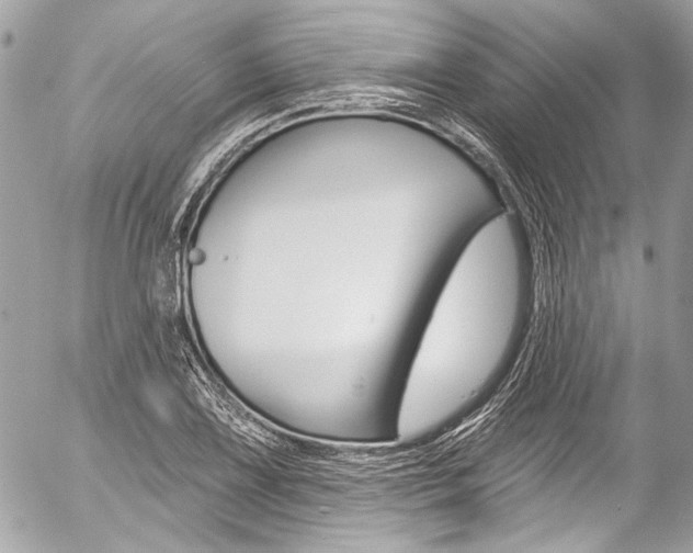 X0000058791075200509300835
