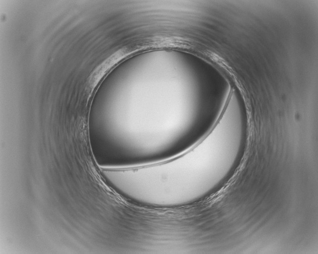 X0000058791089200509300835