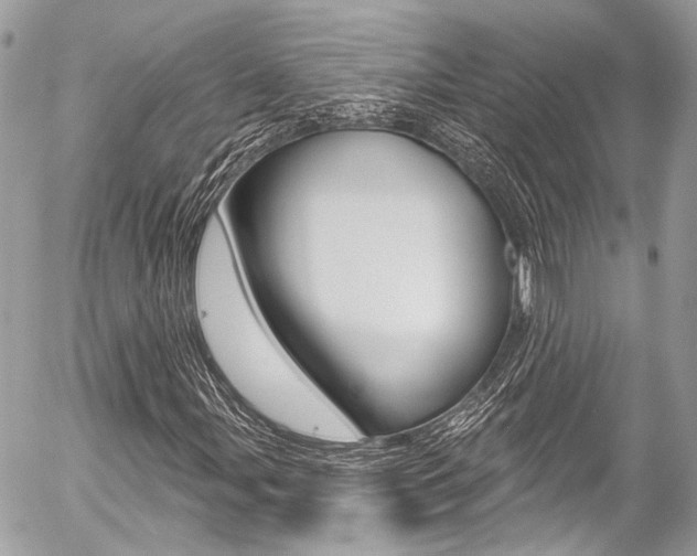 X0000058791107200509300834