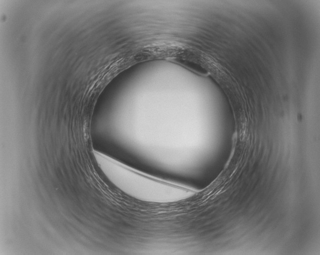 X0000058791108200509300834