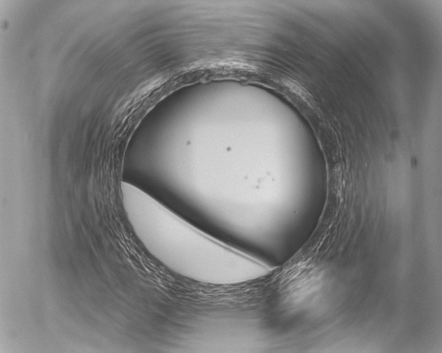 X0000058791111200509300834