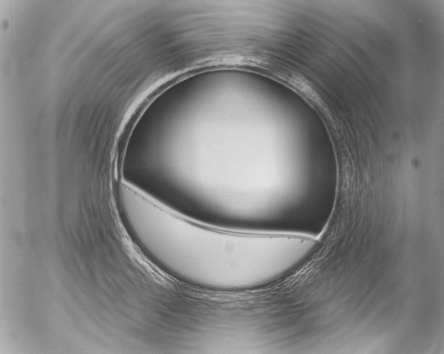 X0000058791132200509300834