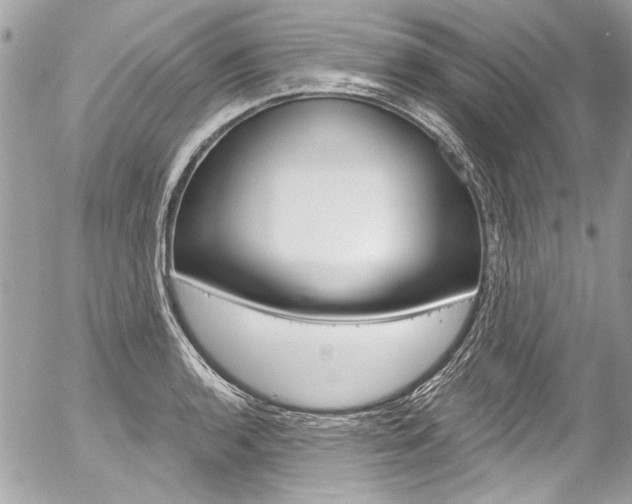X0000058791136200509300834