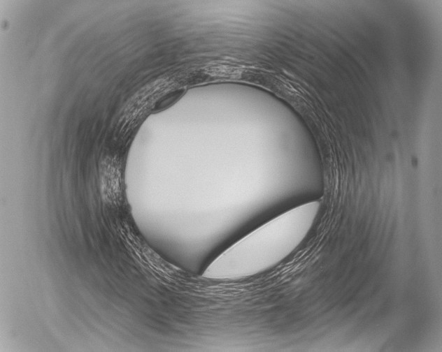 X0000058791154200509300833