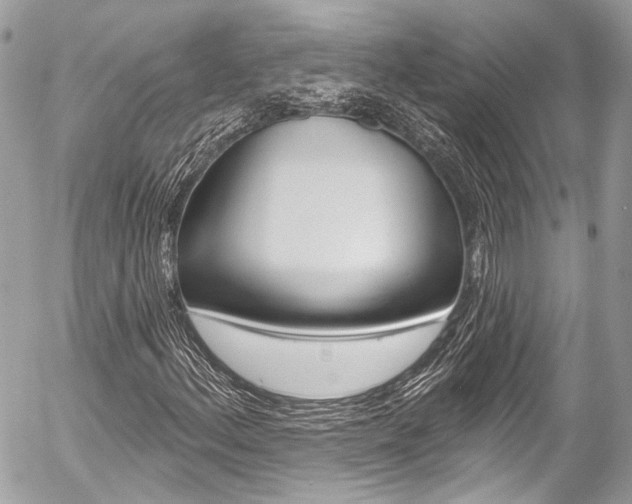 X0000058791156200509300833
