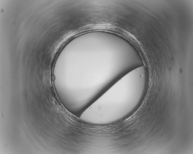 X0000058791174200509300833