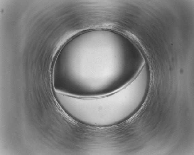 X0000058791184200509300833