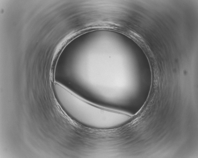 X0000058791188200509300833