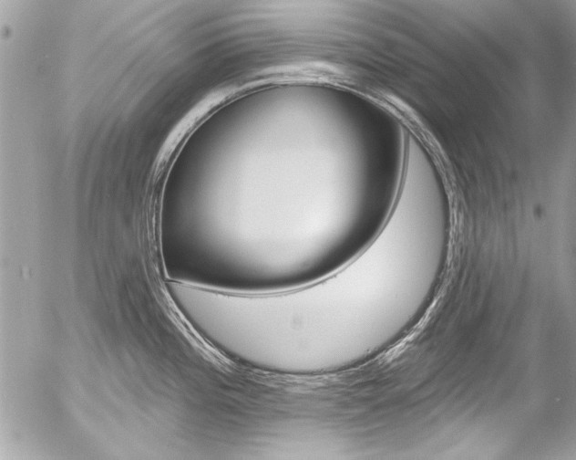 X0000058791196200509300833