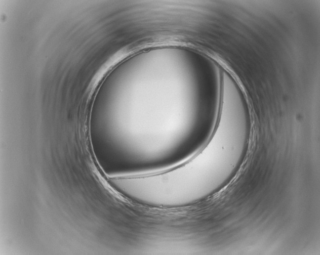 X0000058791197200509300833