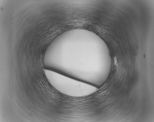 X0000058791203200509300832