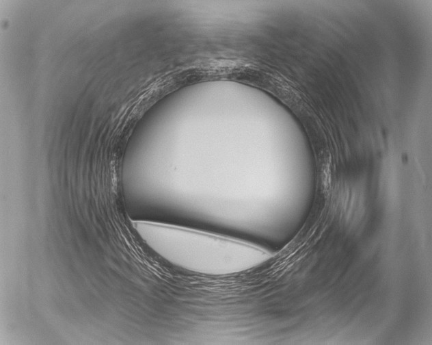 X0000058791204200509300832
