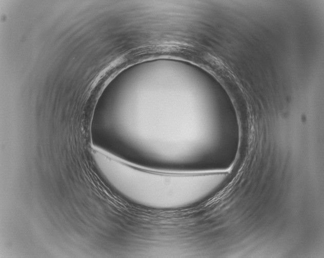 X0000058791210200509300832
