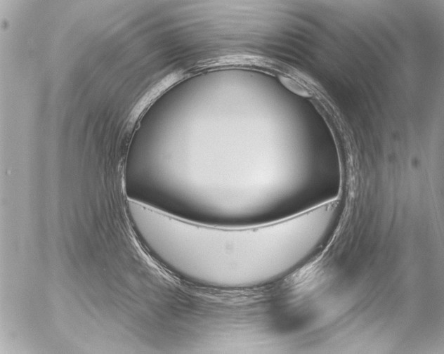 X0000058791241200509300833
