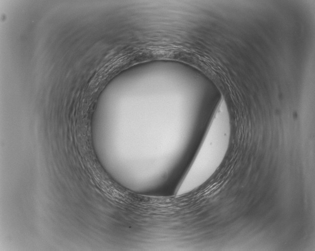 X0000058791249200509300832