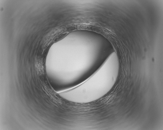 X0000058791252200509300832
