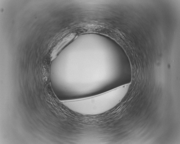 X0000058791253200509300832
