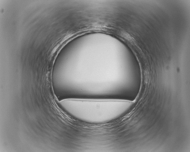X0000058791260200509300832