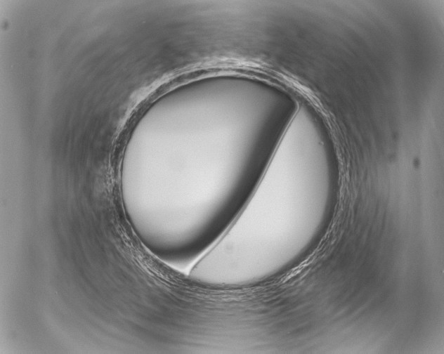 X0000058791264200509300832