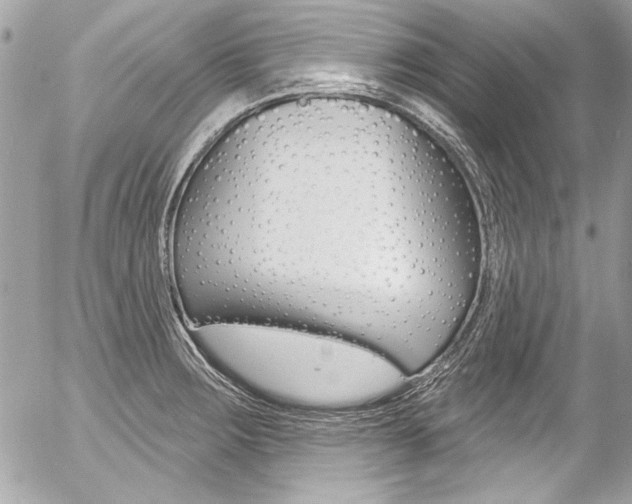 X0000058791283200509300831