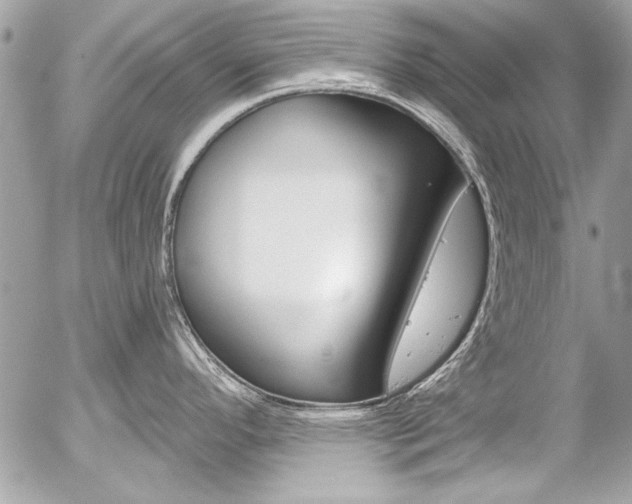X0000058791296200509300831