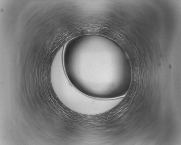 X0000058791298200509300830