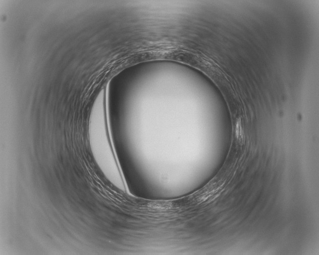 X0000058791299200509300830