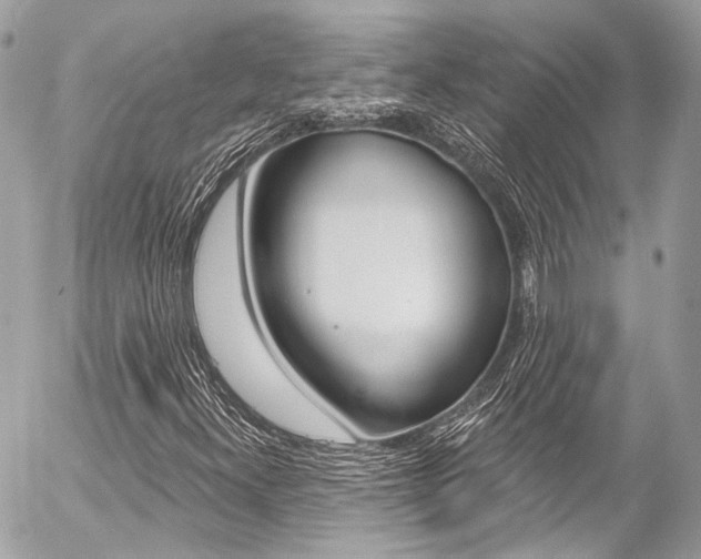 X0000058791300200509300830