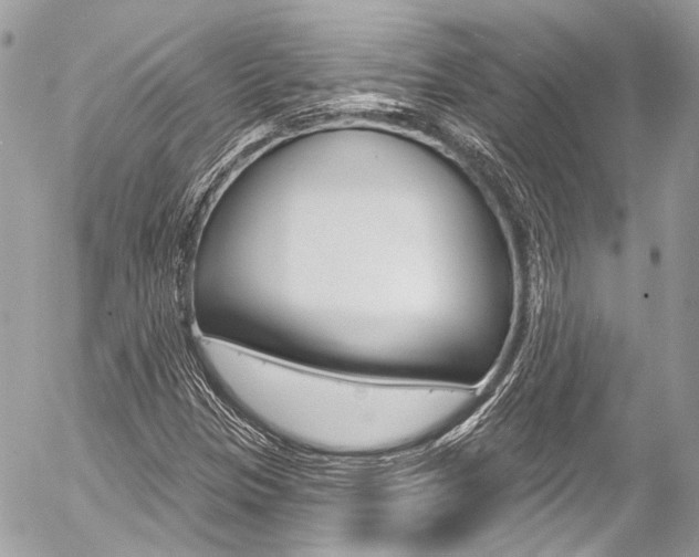 X0000058791305200509300830