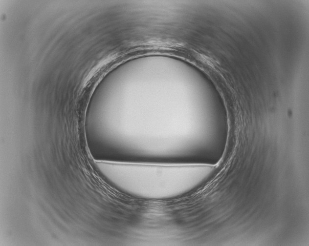 X0000058791307200509300830